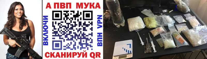 Купить закладки  Ивангород  Alpha PVP СК 
