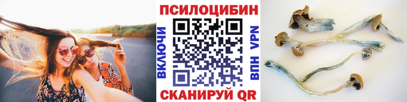 Купить  Ивангород  Галлюциногенные грибы GOLDEN TEACHER 