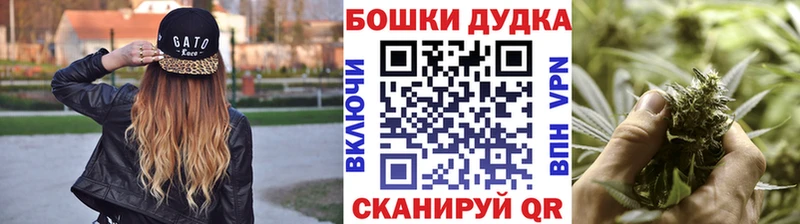 Каннабис планчик  Купить  Ивангород 